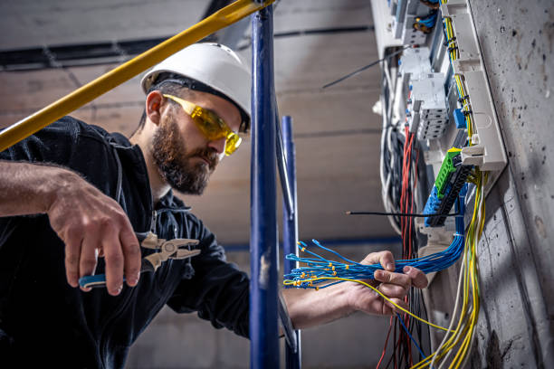 Best Electric Panel Repair  in Hannahs Mill, GA